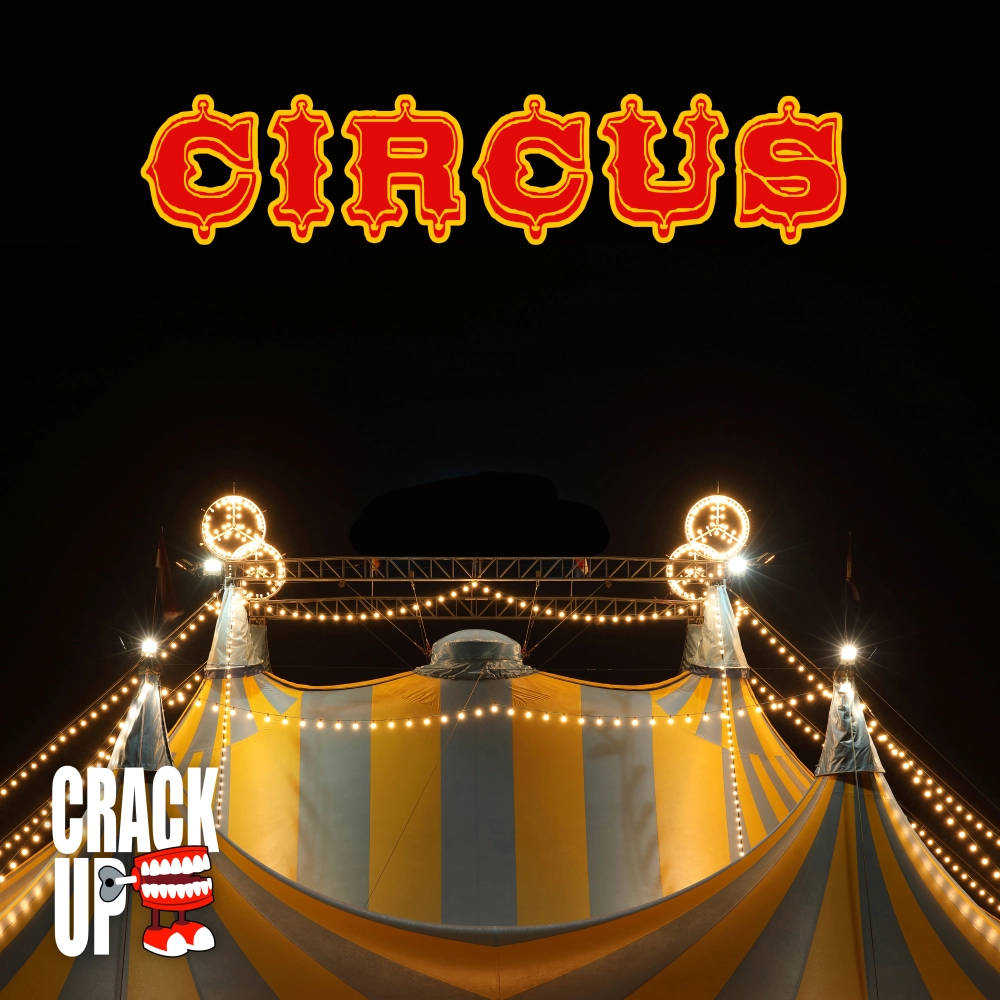 Circus