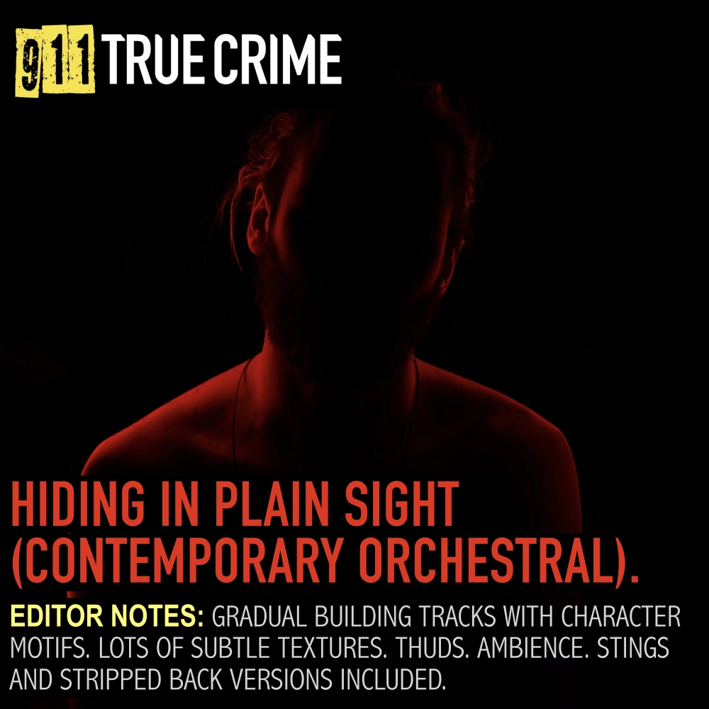 Hiding In Plain Sight (contemporary Orchestral)