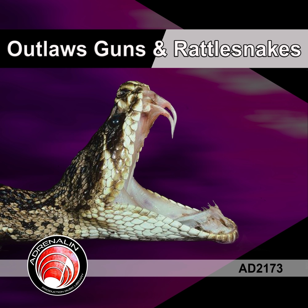 OUTLAWS GUNS & RATTLESNAKES