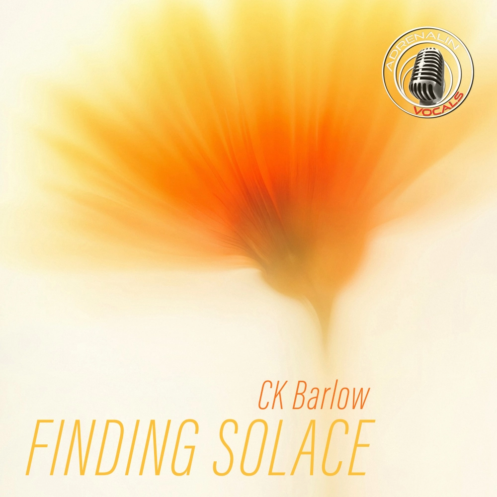 Finding Solace