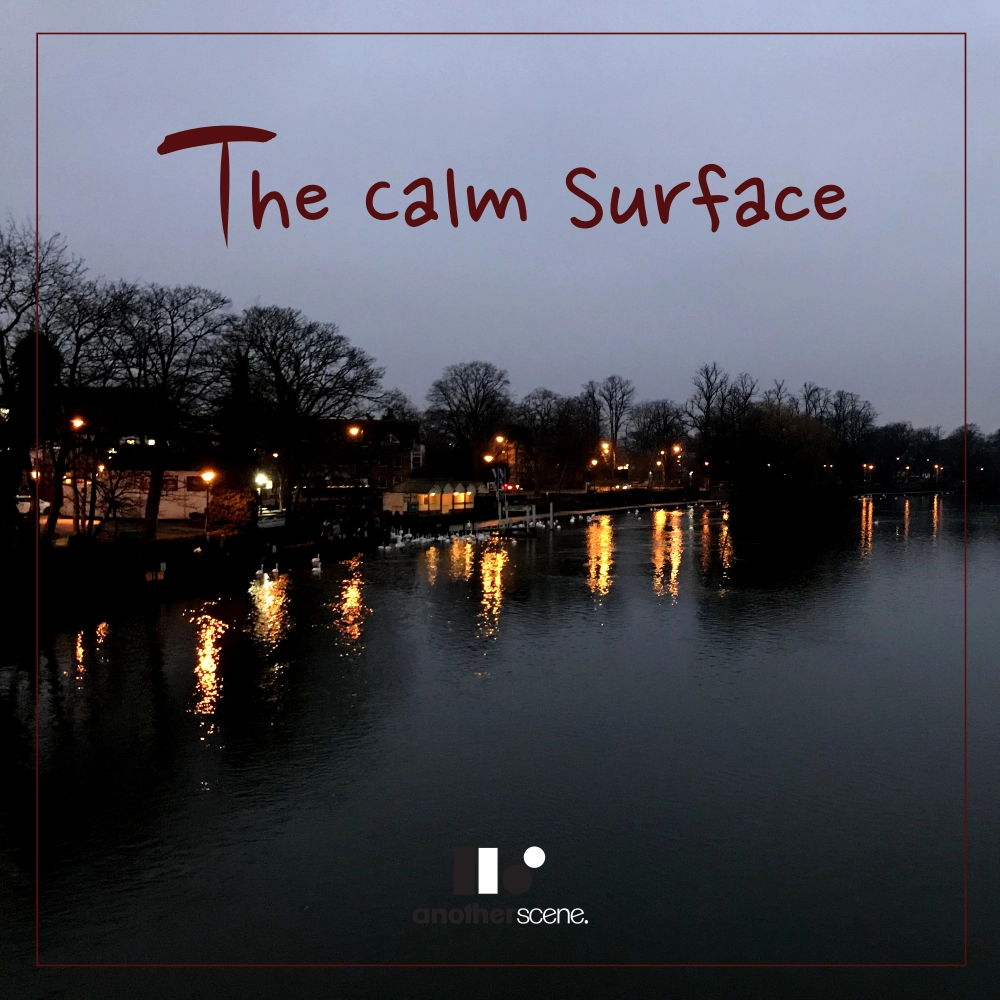 The Calm Surface