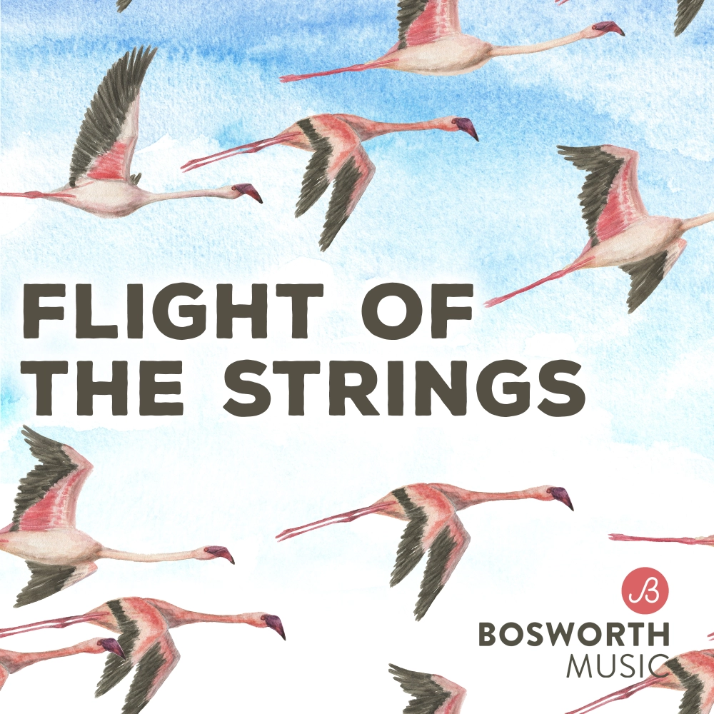 Flight Of The Strings
