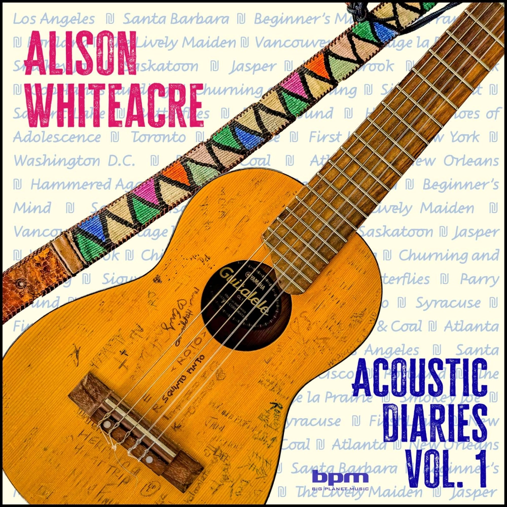 Acoustic Diaries - Vol. 1