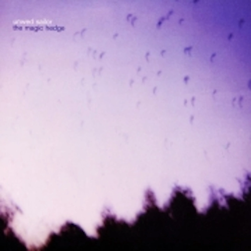 The Magic Hedge