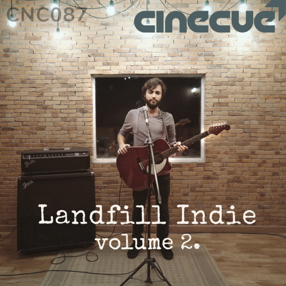 Landfill Indie Volume 2