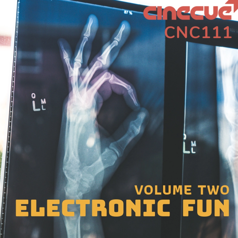 Electronic Fun Volume 2