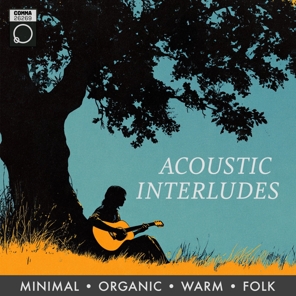 Acoustic Interludes