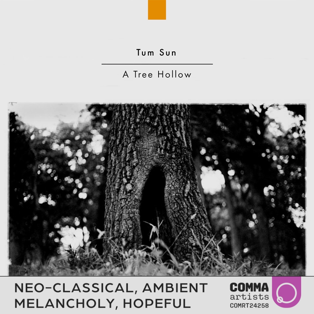 A Tree Hollow