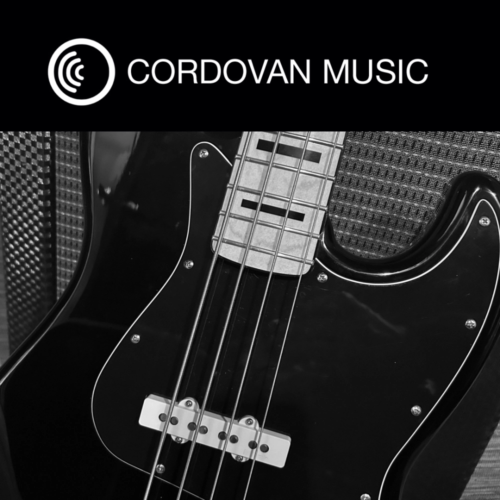 Bass Face - Funk Soul Bass Grooves