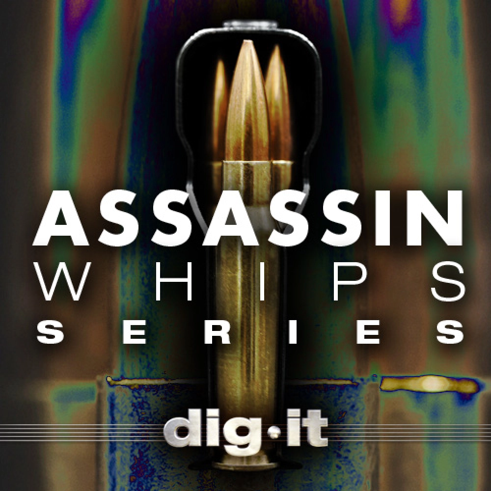 Assassan Whips Series