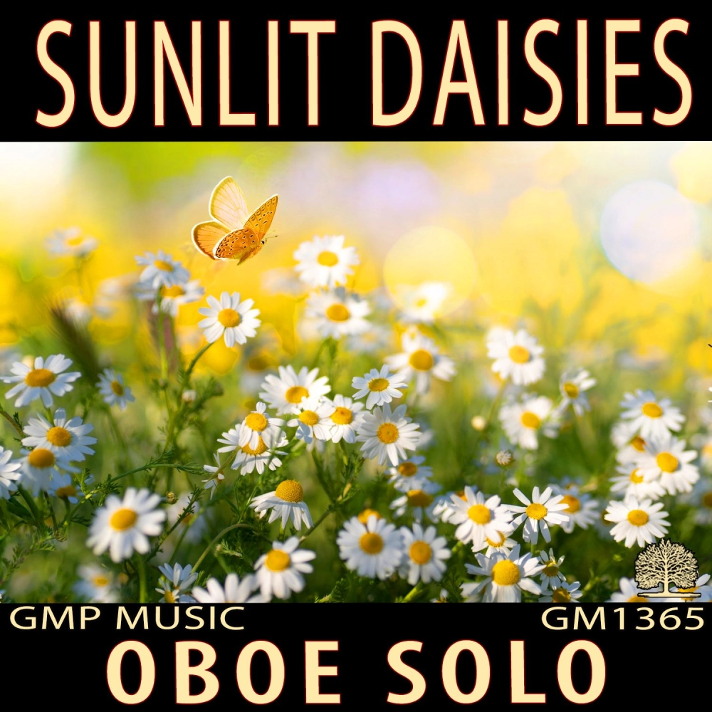Sunlit Daisies