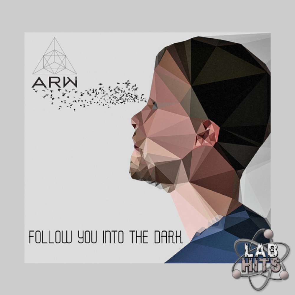Follow You Into The Dark