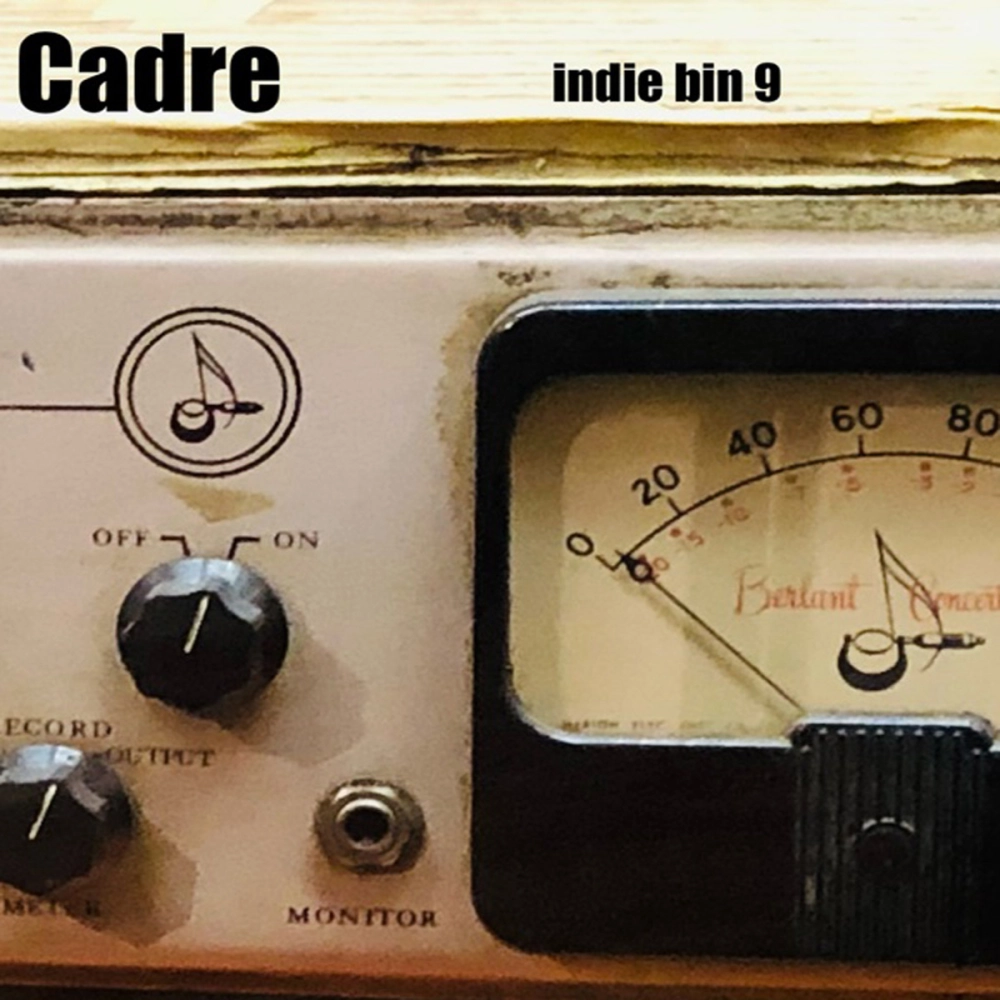 Indie Bin 9