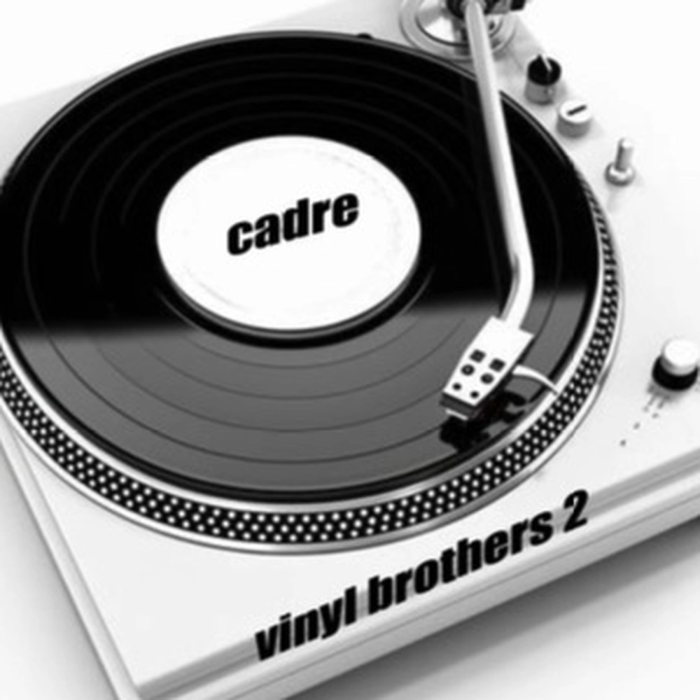 Vinyl Brothers 2