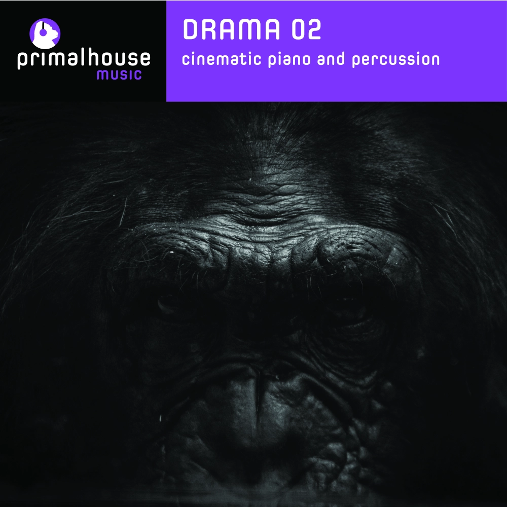 Cinematic Piano And Percussion