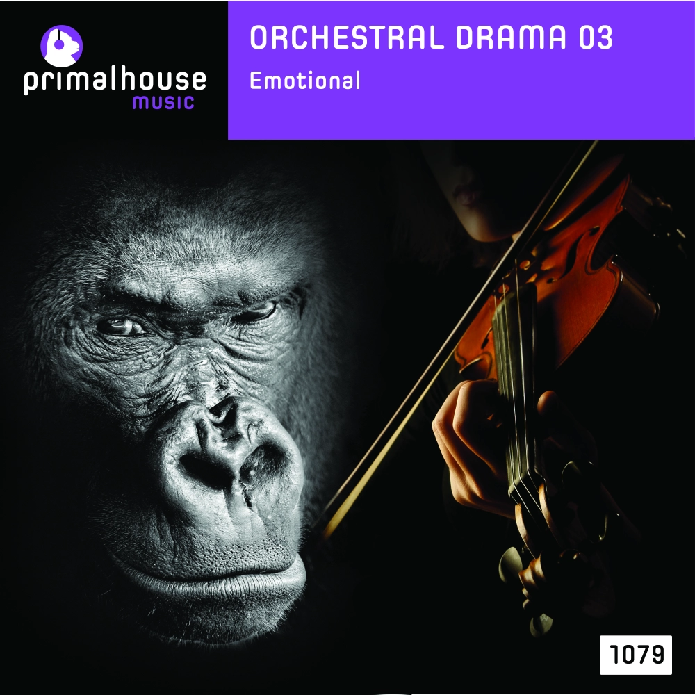 Orchestral Drama 03 Emotional