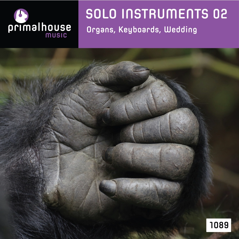 Solo Instruments 02 Keyboards, Organ, Piano, Etc