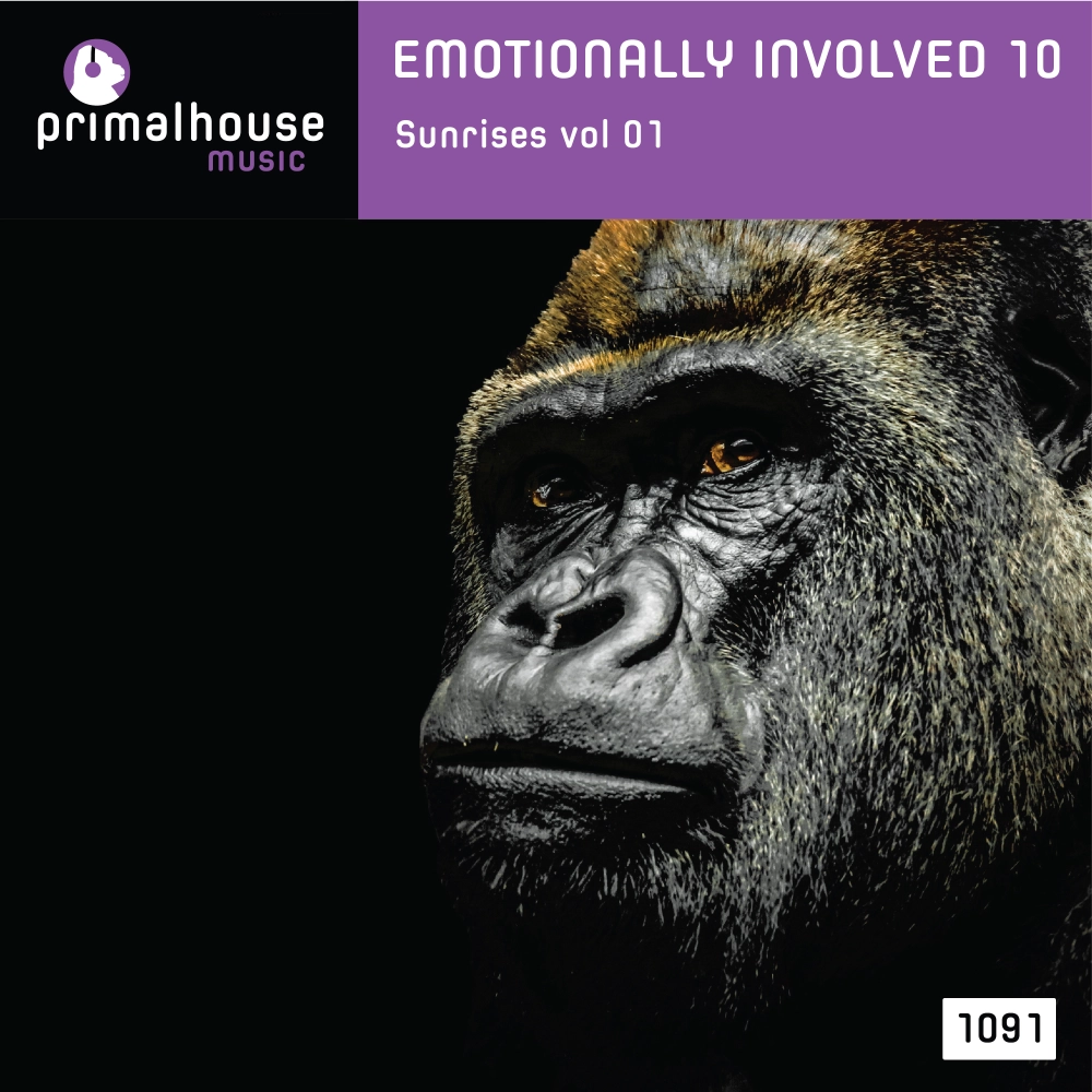 Emotionally Involved 10 Sunrise And Sunset