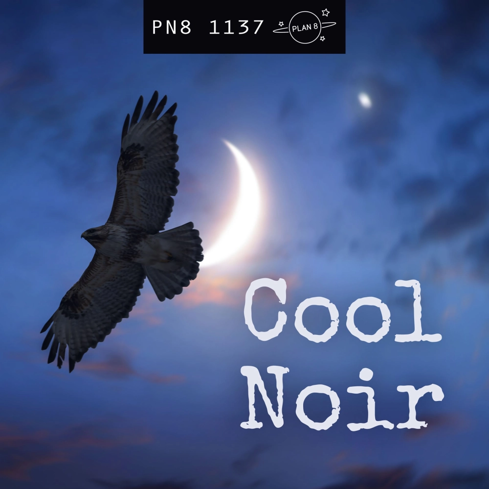 Cool Noir