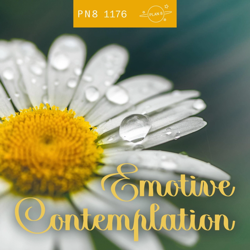 Emotive Contemplation