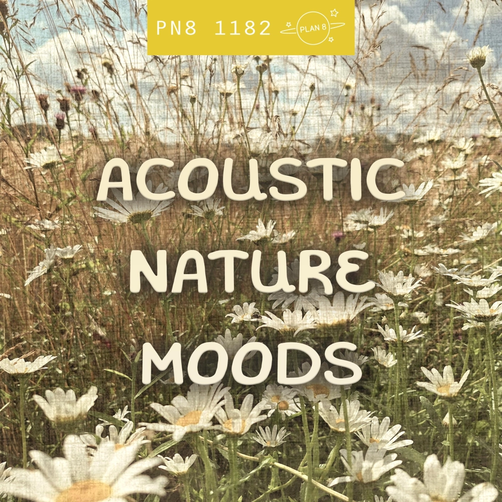Acoustic Nature Moods