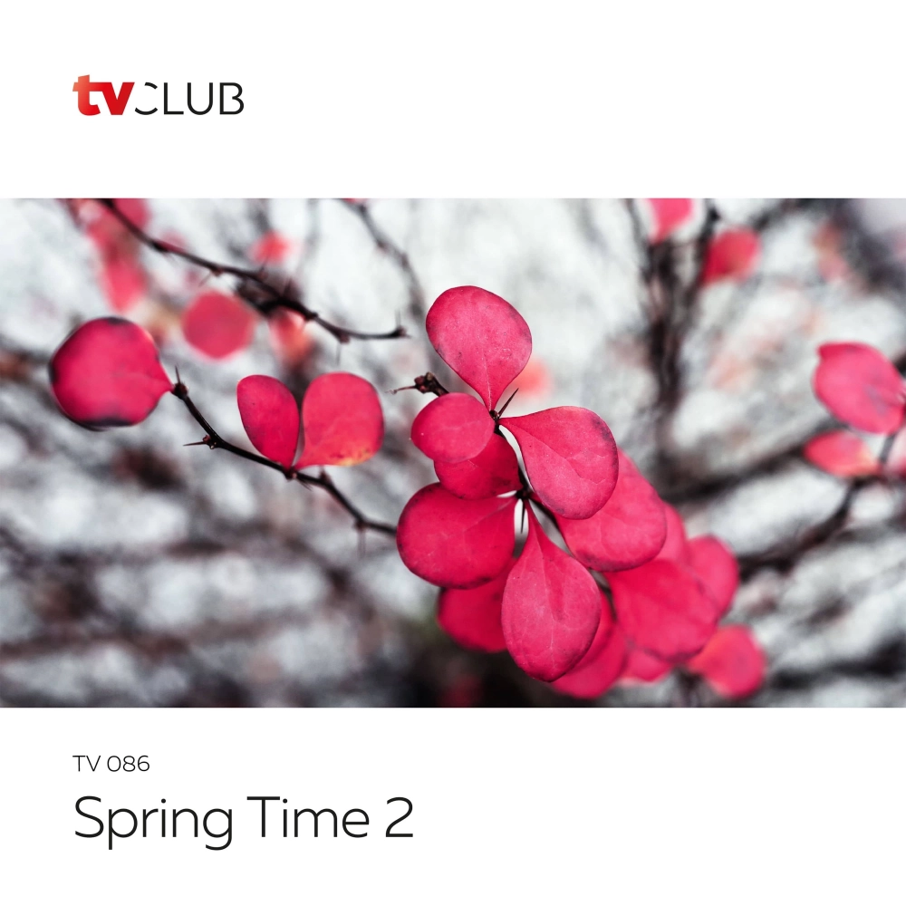 Spring Time 2