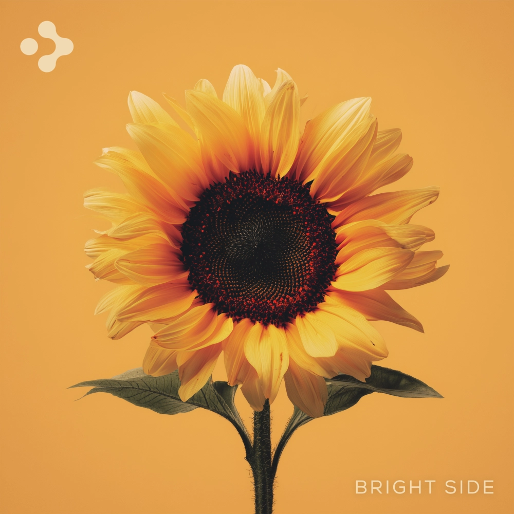 Bright Side