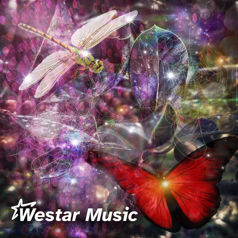Dragonflies And Butterflies