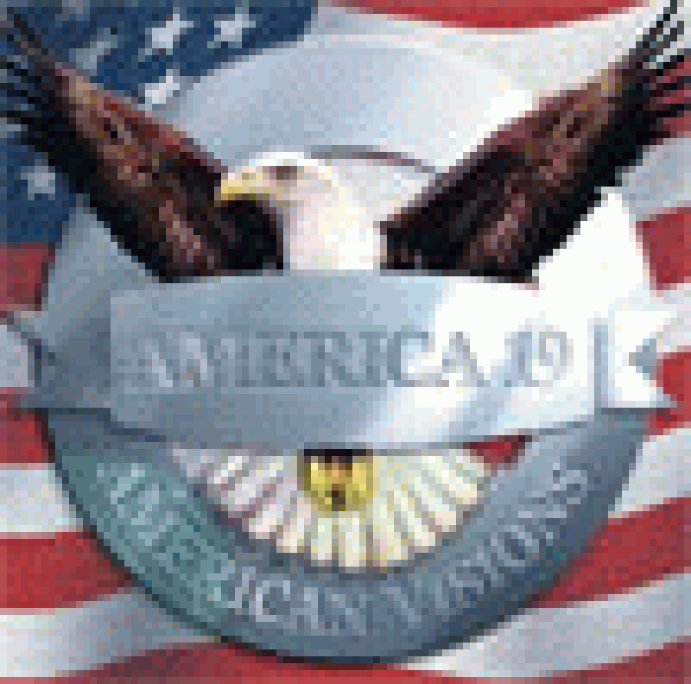 AMERICAN VISIONS