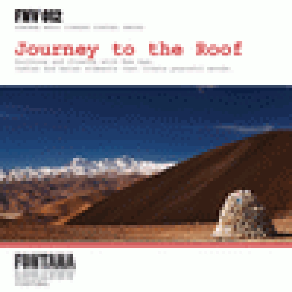 JOURNEY TO THE ROOF
