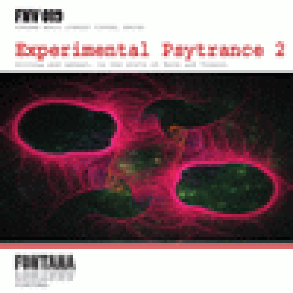 EXPERIMENTAL PSYTRANCE 2