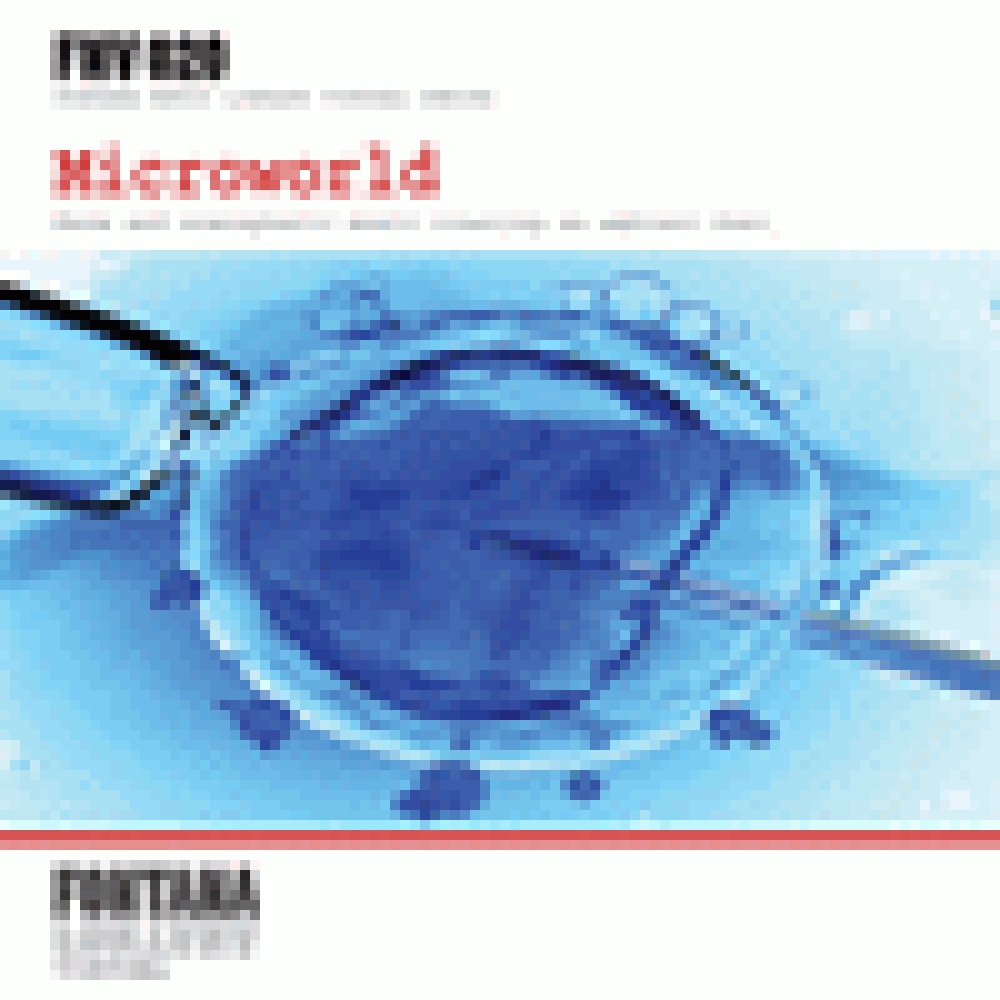 MICROWORLD