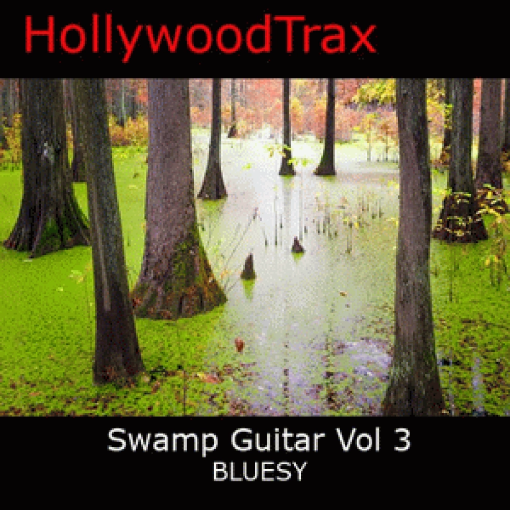 SWAMP GUITAR VOL 3 BLUESY