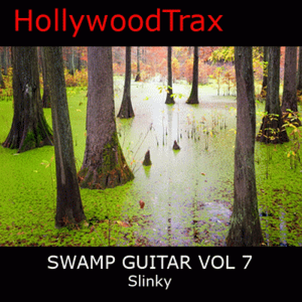 SWAMP GUITAR VOL 7 SLINKY