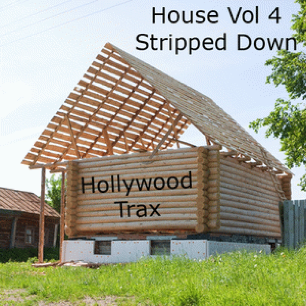 HOUSE VOL 4 STRIPPED DOWN