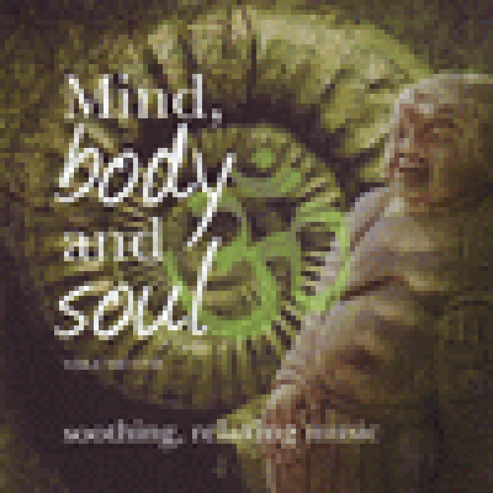 MIND, BODY AND SOUL VOL ONE