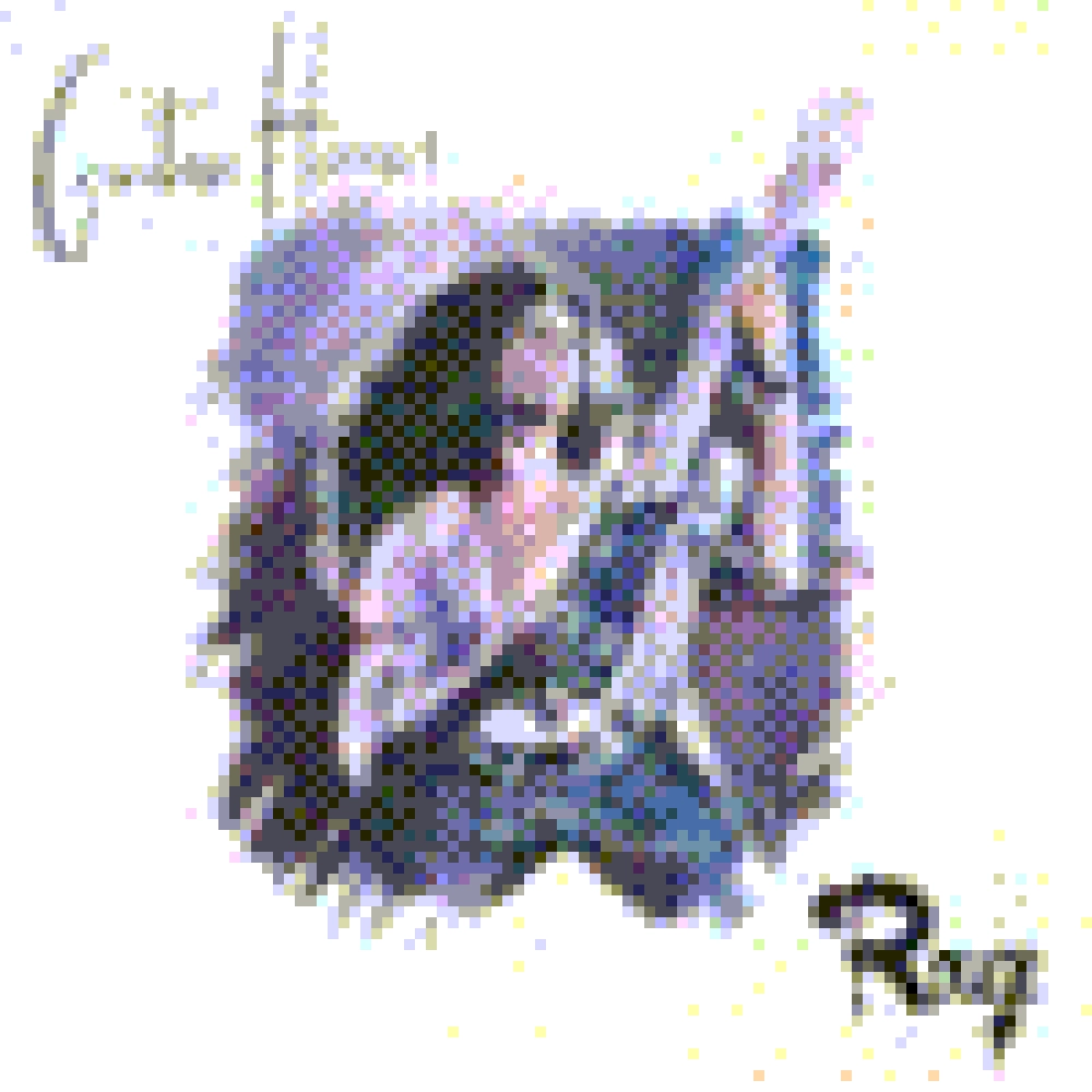 GUITAR HEROES