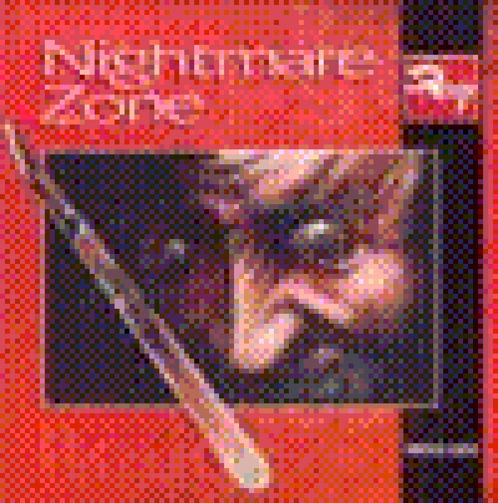 NIGHTMARE ZONE