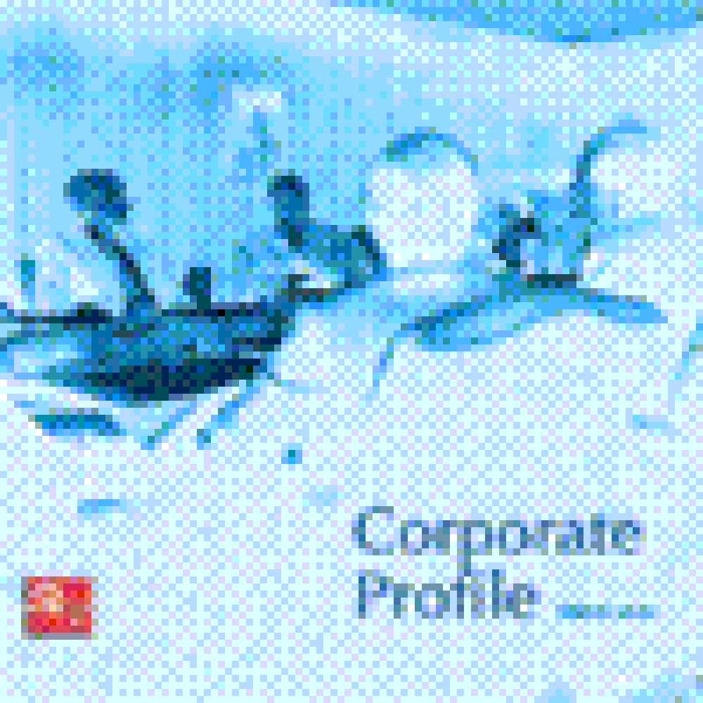 CORPORATE PROFILE