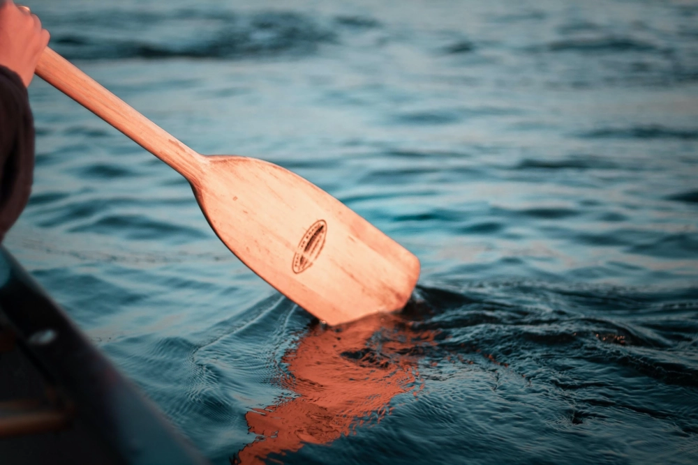 Jeux Olympiques Paris 2024 - Aviron