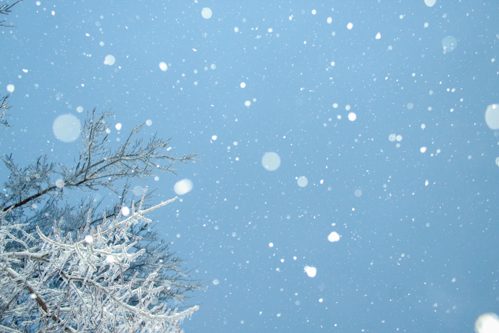 Saison - Hiver